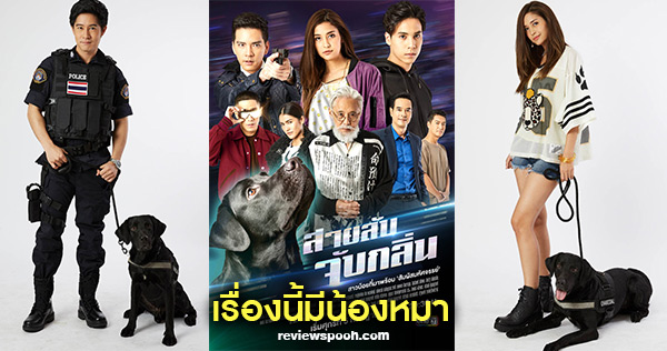 สายลับจับกลิ่น เรื่องย่อ