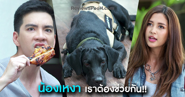 สายลับจับกลิ่น