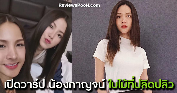 ใบไม้ที่ปลิดปลิว กาน