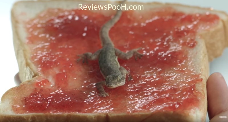 One Night Steal แผนรักสลับดวง EP.2