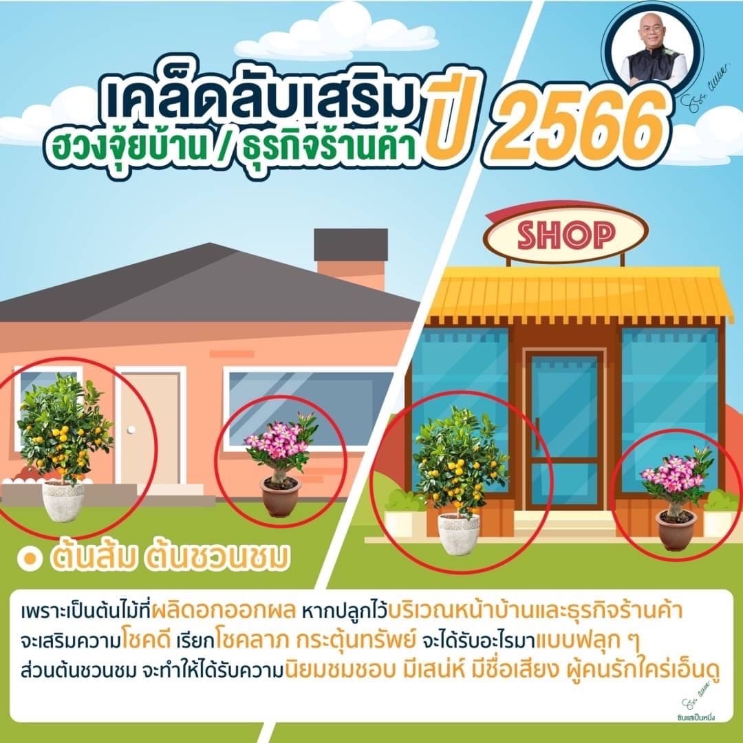 ฮวงจุ้ยบ้าน ธุรกิจร้านค้า 3 เคล็ดลับเสริมดวง เสริมเฮง ด้วย โอ่ง ต้นส้ม พรมสีน้ำเงิน